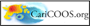 Caribbean Coastal Ocean Observing System (CariCOOS) Logo